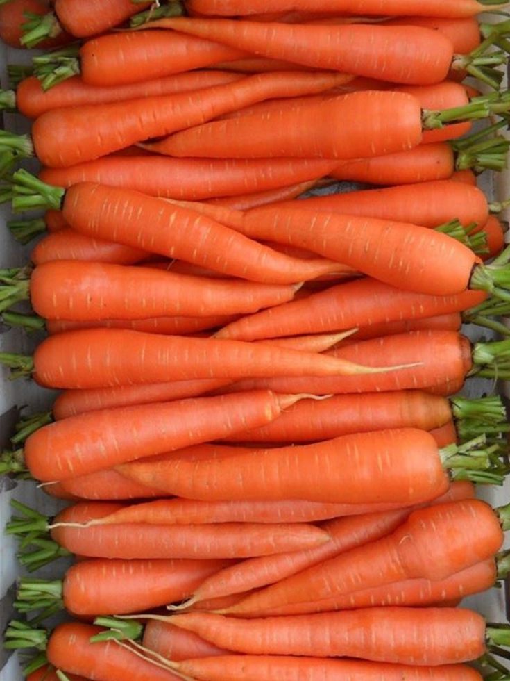  Carrot
